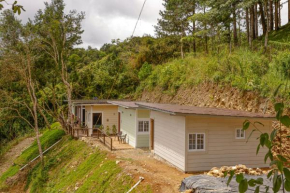 Cabañas PTY del 1 al 4 son cabañas 6,7 y 8 son domos